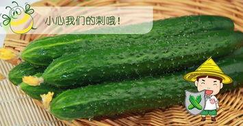 吃瓜网最好看的瓜,年度最佳瓜盘点，精彩纷呈不容错过！